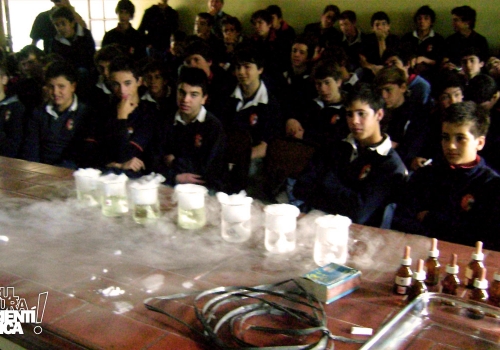 2013 :: Escuela Nº 8003 Inmaculada Concepción. Santa Fe