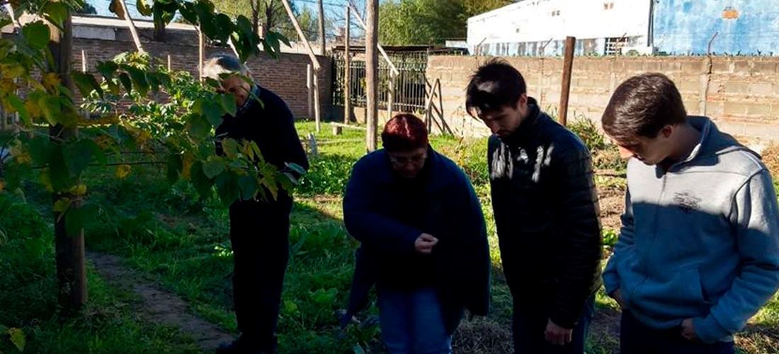 Generación de compromiso universitario con la sociedad y con la resolución de sus problemas