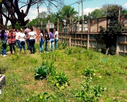 La huerta como espacio de aprendizaje