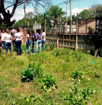 La huerta como espacio de aprendizaje