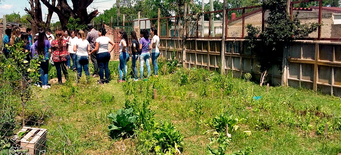 La huerta como espacio de aprendizaje