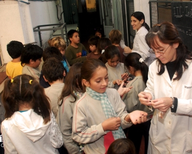 2011 :: Escuela Primaria de la UNL . Sala Babini