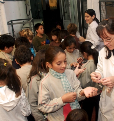 2011 :: Escuela Primaria de la UNL . Sala Babini