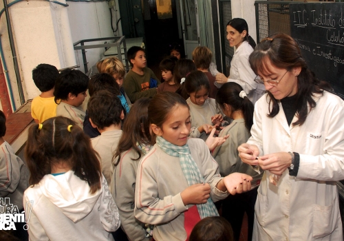 2011 :: Escuela Primaria de la UNL . Sala Babini