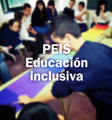 PEIS: Educación inclusiva