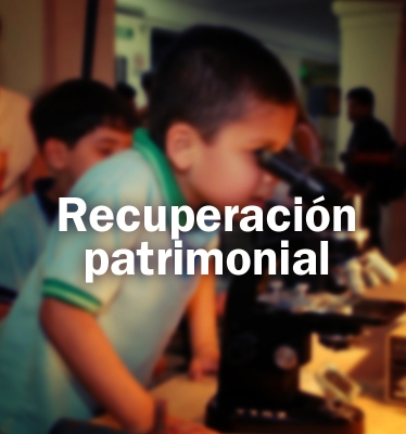 Recuperación patrimonial