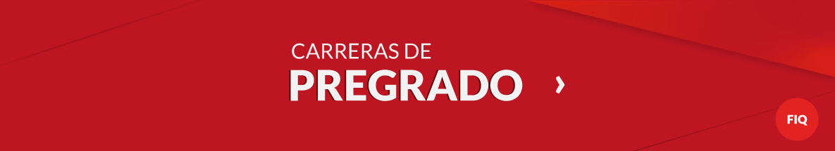 CARRERAS DE PREGRADO visual data 4