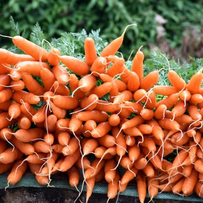 vegetable-g0186d1a2e_1280